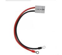 Whychstore Câble de charge EV 50 A avec cosse M8 - Extension haute intensité 10 AWG pour véhicule électrique pour réparation de batterie et connexion de panneau solaire 30 cm (100 cm)