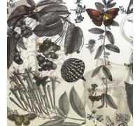 WIBUTEE - Sweet Mental [Import]