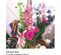 Wicca Phase Springs Eternal - Secret Boy - Doublemint Green [Vinyl Lp] Colored Vinyl, Green