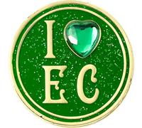 Wicked - Badge "I Love The Emerald City" TA12671 (Taille unique) (Vert/Jaune)