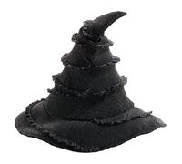 The Noble Collection Chapeau Wicked Elphaba – Coffret collector