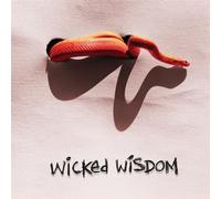 Wicked Wisdom by Wicked Wisdom (2006) Audio CD