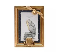 Widdop and Co Warner Bros Harry Potter Alumni Cadre photo doré Hedwige