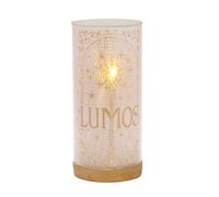 Widdop and Co Warner Bros Tube lumineux Harry Potter pour anciens élèves Lumos