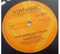 Wide Awake in a Dream [7 inch] [Import]