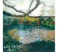 Wide Majestic Aire