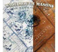 Wide Mouth Mason Shot Down Satellites (CD) Album