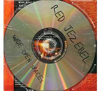 Wide Open Spaces [Import]
