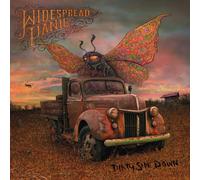Widespread Panic - Dirty Side Down [Import]