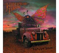 Widespread Panic - Dirty Side Down [Import]