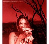 Widespread Panic - Everyday