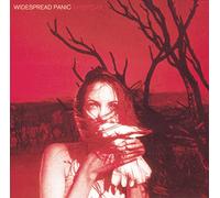 Widespread Panic - Everyday