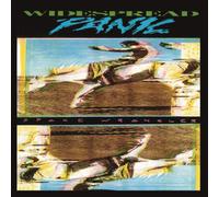 Widespread Panic Space Wrangler (CD)