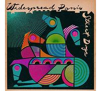 Widespread Panic - Street Dogs