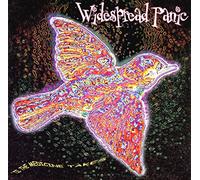 Widespread Panic - Til The Medicine Takes [Import]