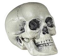 WIDMANN 01379 ? Tête de Mort en Plastique Taille Env. 21 cm