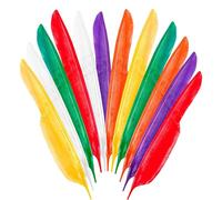 WIDMANN 3303P Lot de 12 plumes indiennes en 6 couleurs différentes, environ 30 cm de long