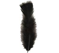 Widmann 50 Plumes droites noires 15 cm