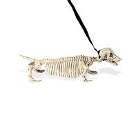Widmann ? Chien Teckel Squelette avec Laisse Unisex-Adult, Blanc, 55 cm, vd-wdm07093