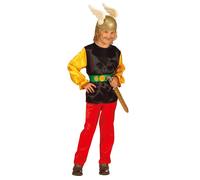 Widmann Gaulois (Coat, Pants, Belt) (128 cm / 5-7 Years) Different Colors