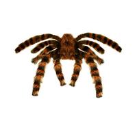 WIDMANN MILANO PARTY FASHION W, Araignée décorative 75 cm, design modelable, couleur marron réaliste, polyvalente pour Halloween et fêtes, qualité garantie par
