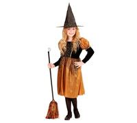 Widmann Wicked Witch (Dress, Hat) (164 cm / 14-16 Years) Black