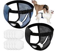 WiDream Lot de 2 Couche Chien Réutilisable, Culotte Hygiénique Ajustable pour Chienne après Stérilisation, Culotte Chaleur avec Fermeture Velcro pour Chienne, XL (Livré avec 10 tampons)