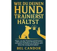 WIE DU DEINEN HUND TRAINIERT HÄLTST: Tipps, um das Training aufzufrischen und gutes Verhalten zu erhalten, auch wenn Sie wenig Zeit haben!