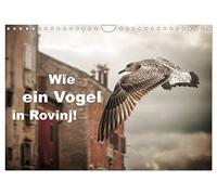 Wie ein Vogel in Rovinj! (Wandkalender 2026 DIN A4 quer), CALVENDO Monatskalender: Vögel rocken die Stadt Rovinj in Kroatien!