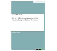 Wie ist Nichtseiendes zu denken? Eine Untersuchung von Platons "Sophistes"