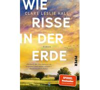 Wie Risse in der Erde: Roman | 'Ein Buch, das man vielleicht nie in seinem Leben wieder vergisst.' Deutschlandfunk Kultur