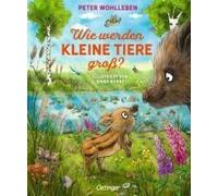 Wie Werden Kleine Tiere Groß?