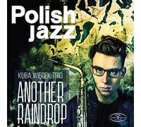 Kuba Trio Wiecek - Another Raindrop [Import]
