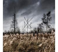 De Doden Hebben Het Goed