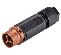 Wieland 46.032.4551.4 Cosse cylindrique mâle mâle, droit Nombre total de pôles: 2 Série (connecteur rond): RST® MINI 1 pc(s)