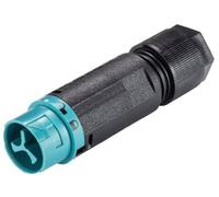 Wieland 46.032.4551.6 Cosse cylindrique mâle mâle, droit Nombre total de pôles: 2 Série (connecteur rond): RST® MINI 1 pc(s)