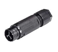 Wieland 46.032.4553.1 - Fiche ronde, série droite (connecteurs ronds) : RST® Mini nombre de pôles totaux : 2 + PE 1 pièce