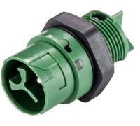 Wieland 46.032.5055.7 Cosse cylindrique mâle embase mâle Nombre total de pôles: 2 + PE Série (connecteur rond): RST® MINI 1 pc(s)