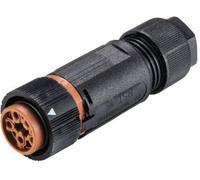 Wieland 46.051.4550.4 Cosse cylindrique mâle femelle, droit Nombre total de pôles: 5 Série (connecteur rond): RST® MINI 1 pc(s)