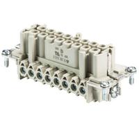 Wieland 70.300.1640.0 Insert femelle BAS Nombre total de pôles 16 + PE 1 pc(s)