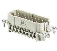 Wieland Electric 70.310.1640.0 Insert mâle BAS Nombre total de pôles 16 + PE 1 pc(s)