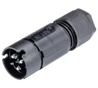 Wieland Electric 41.032.3053.1 Connecteur