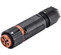 Wieland 46.031.4551.4 Cosse cylindrique mâle femelle, droit Nombre total de pôles: 2 Série (connecte