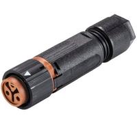 Wieland Electric 46.031.4551.4 Cosse cylindrique mâle femelle, droit Nombre total de pôles: 2 Série (connecteur rond): RST® MINI 1 pc(s)