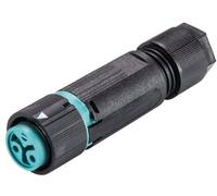 Wieland Electric 46.031.4551.6 Cosse cylindrique mâle femelle, droit Nombre total de pôles: 2 Série (connecteur rond): RST® MINI 1 pc(s)