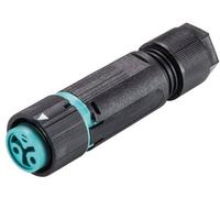 Wieland Electric 46.031.4551.6 Cosse cylindrique mâle femelle, droit Nombre total de pôles: 2 Série (connecteur rond): RST® MINI