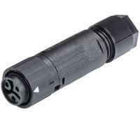 Wieland Electric 46.031.4553.1 Cosse cylindrique mâle femelle, droit Nombre total de pôles: 2 + PE Série (connecteur rond): RST®
