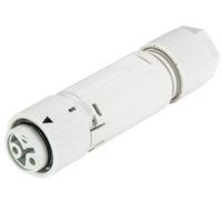 Wieland Electric 46.031.4554.0 Cosse cylindrique mâle femelle, droit Nombre total de pôles: 2 Série (connecteur rond): RST® MINI