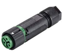 Wieland Electric 46.031.4555.7 Cosse cylindrique mâle femelle, droit Nombre total de pôles: 2 + PE S