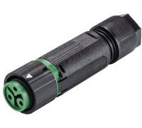 Wieland Electric 46.031.4555.7 Cosse cylindrique mâle femelle, droit Nombre total de pôles: 2 + PE Série (connecteur rond): RST® MINI 1 pc(s)